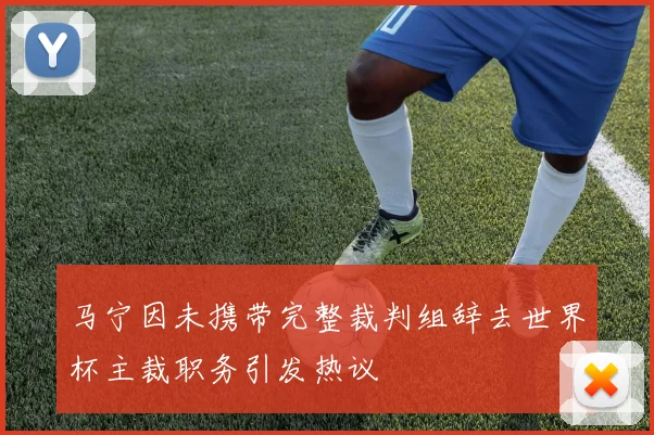 马宁因未携带完整裁判组辞去世界杯主裁职务引发热议